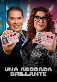 ดูหนังออนไลน์ฟรี A Bright Lawyer (2025)