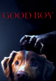 ดูหนังออนไลน์ฟรี Good Boy (2025) มะหมาเห็นผี